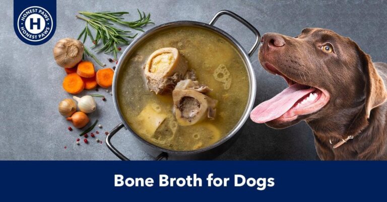 Chicken Soup for Dogs