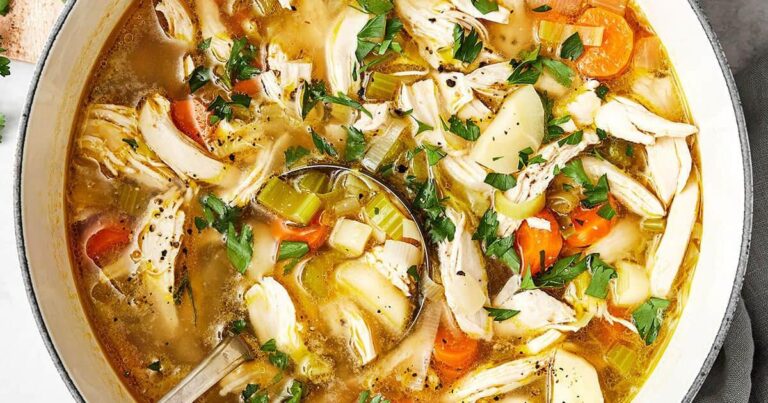 Chicken and Vegetable Soup