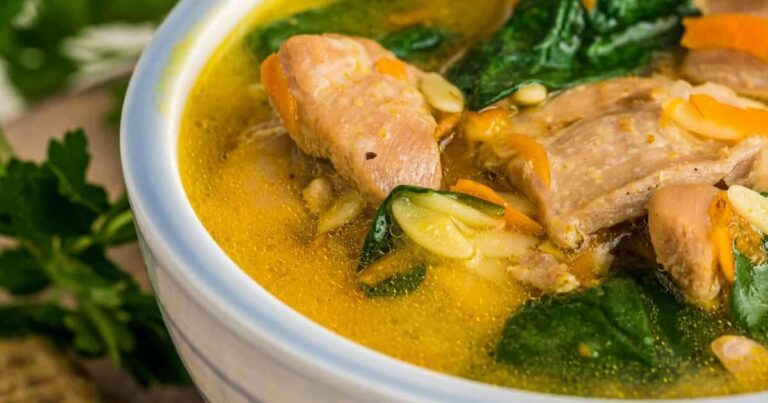 Instant Pot Lemon Chicken Orzo Soup