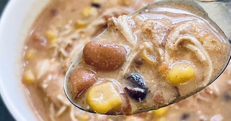 Slow Cooker Chicken Enchilada Soup